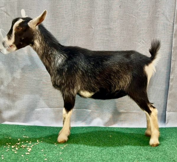 Luna @ 5 mos Luna @ 5 mos