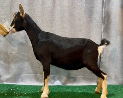 Victoria @ 7 mos Victoria @ 7 mos