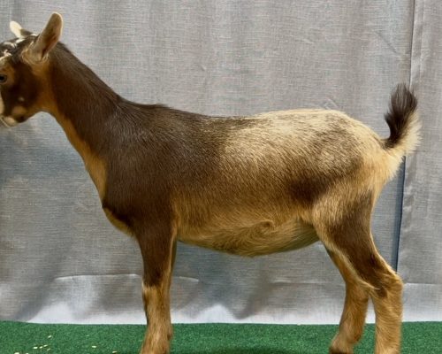 GlitZee @ 6 mos GlitZee @ 6 mos