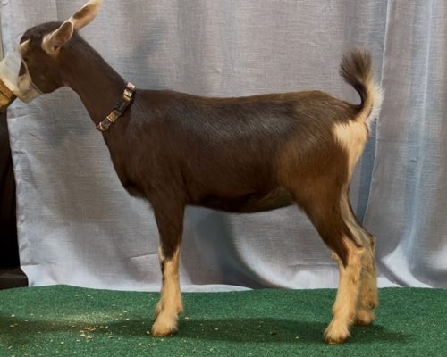 Elizabeth @ 5 mos Elizabeth @ 5 mos