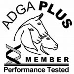 adga plus member image adga plus member image